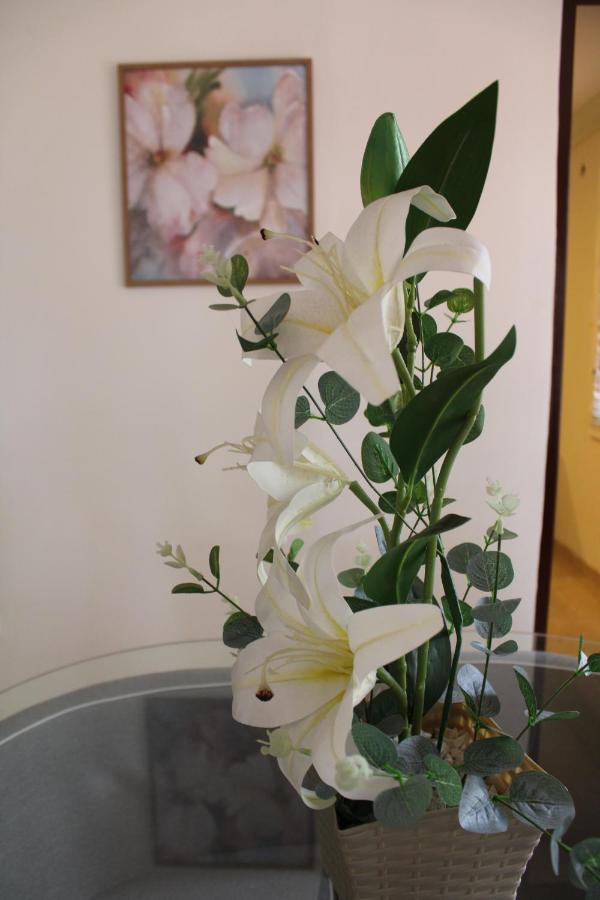 Casa Hotel Flor Del Valle Cali Dış mekan fotoğraf